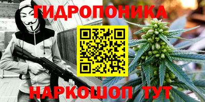 Альфа ПВП Пугачёв