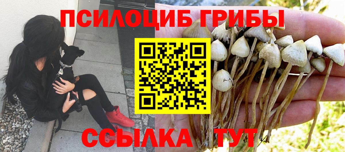 Псилоцибиновые грибы мухоморы Советск