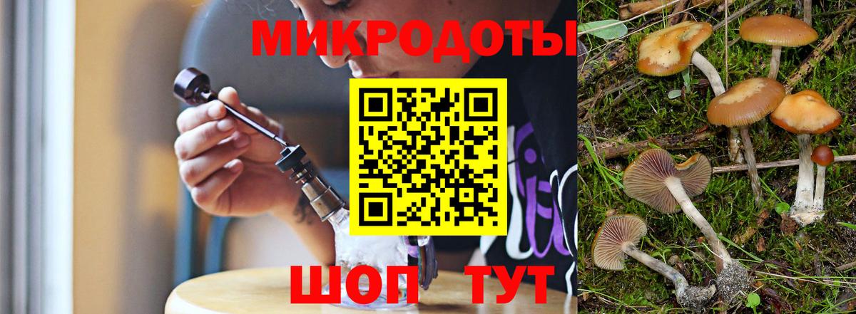 Галлюциногенные грибы GOLDEN TEACHER  Вход с VPN  Советск  закладки  Псилоцибиновые грибы мицелий 